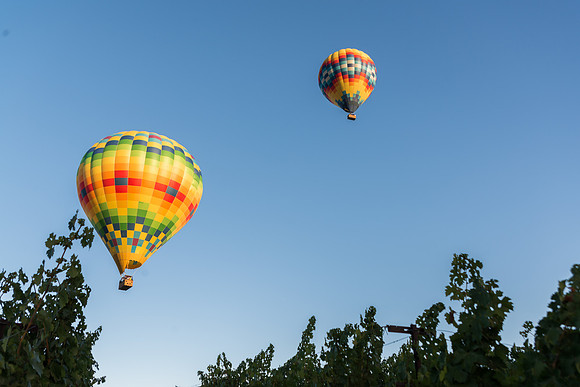 DSC_4853.JPG