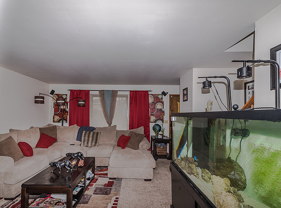 DSC_1037.jpg