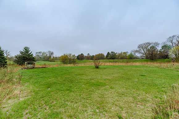DSC_7975.jpg